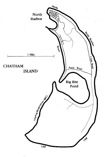 Making Out #1 - Chatham Island